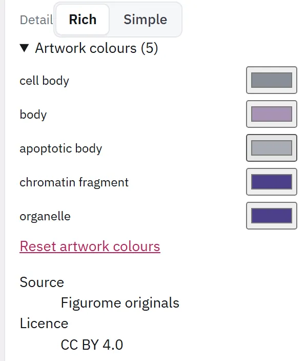 Close-up of the icon's artwork colours (cell body, body, apoptotic body, chromatin fragment, organelle), Reset artwork colours, source Figurome originals and licence CC BY 4.0.